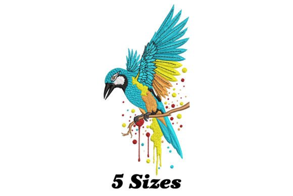 Download Colorful Bird - Premium Resources