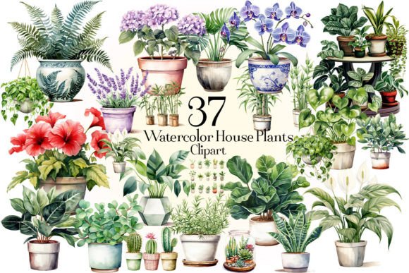Download Watercolor House Plants Clipart - Premium Bundle